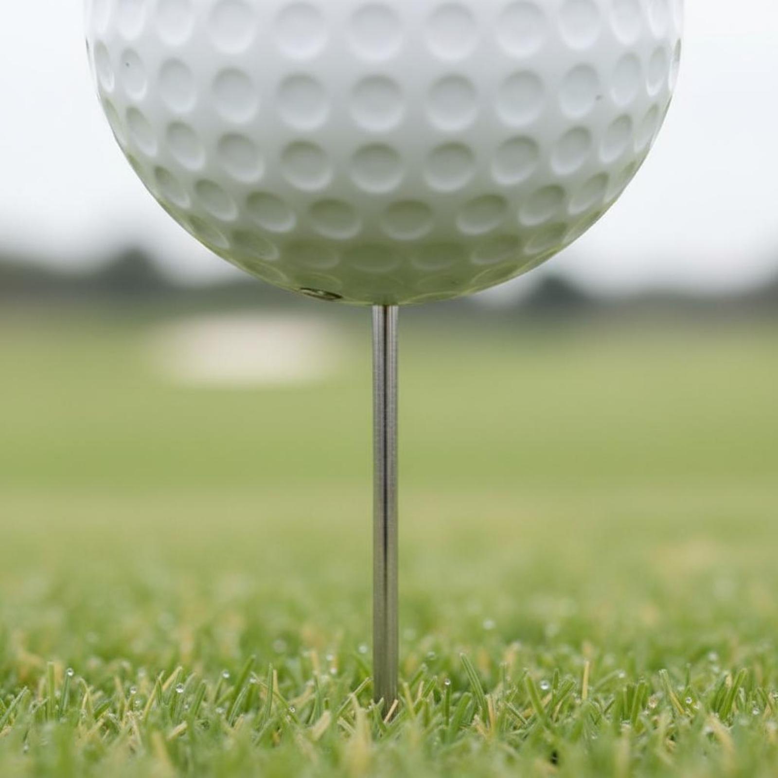 Course Teeing Starter Golf Bal - đánh giá và giá Golf Tees